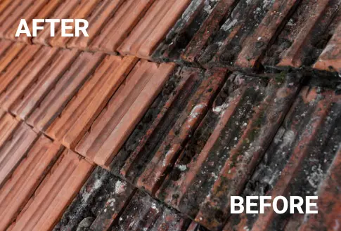 Before and After image of roof cleaning in california