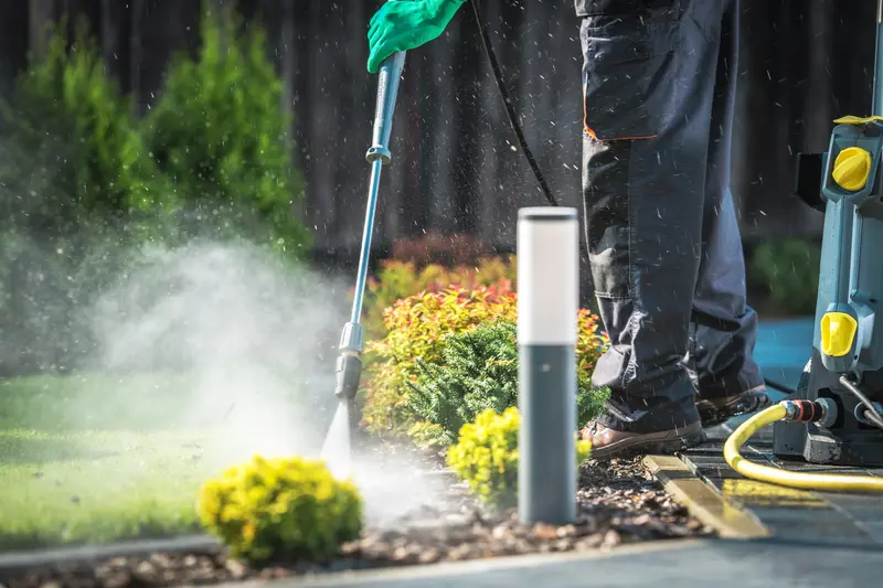 Removing mold, grime from house backyard brick by pressure washing